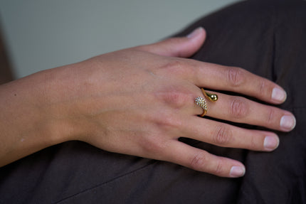 Dual Crystal Ring